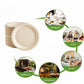25–50 Pack Compostable Paper Plates – 9" & 7" Heavy-Duty Sugarcane Plates