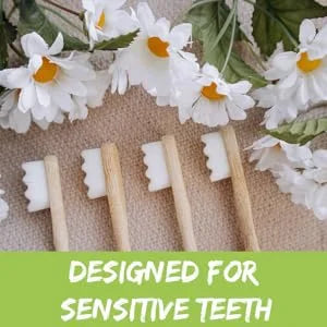 4-Pack Bamboo Toothbrush – Biodegradable with 20,000 Micro-Nano Soft Bristles