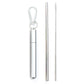 Reusable Telescopic Stainless Steel Straw Set – Portable with Cleaning Brush & Case