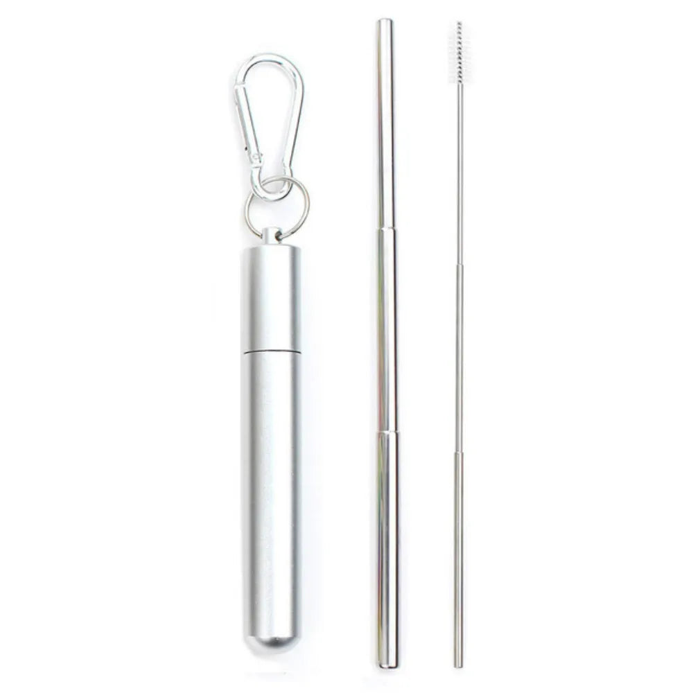 Reusable Telescopic Stainless Steel Straw Set – Portable with Cleaning Brush & Case