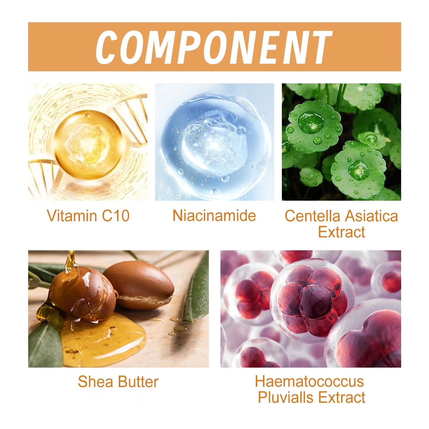 Vitamin C Anti-Wrinkle Face Serum