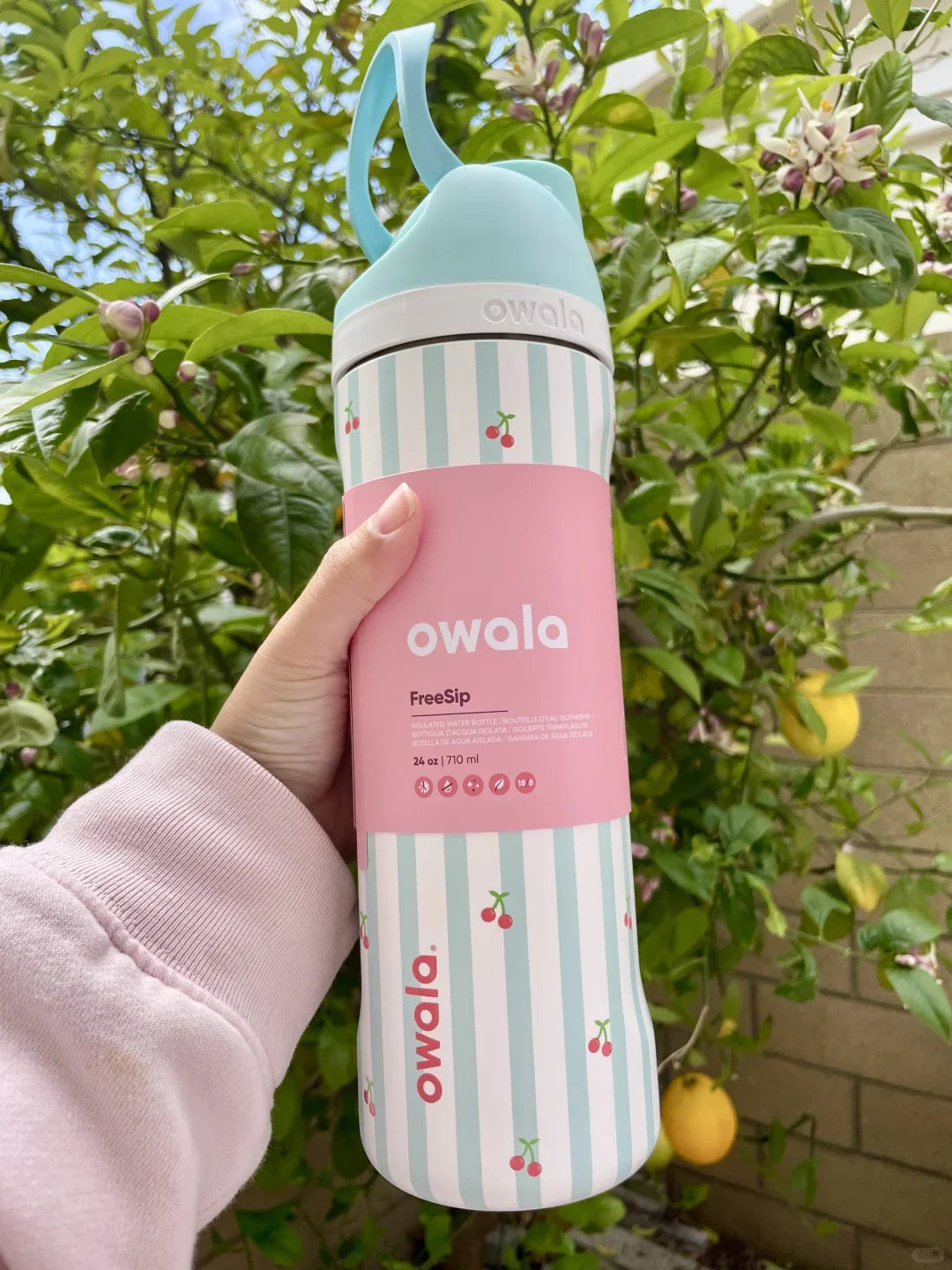 Owala Insulated Stainless Steel Water Bottle with Straw