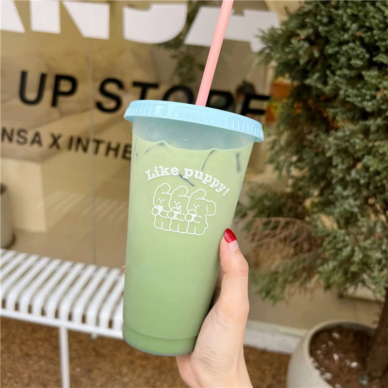 Kawaii Reusable Tumbler with Straw Lid