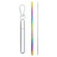 Reusable Telescopic Stainless Steel Straw Set – Portable with Cleaning Brush & Case