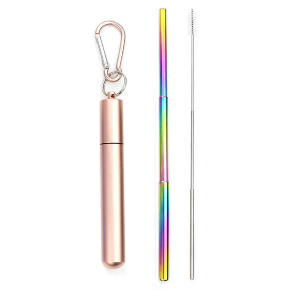 Reusable Telescopic Stainless Steel Straw Set – Portable with Cleaning Brush & Case