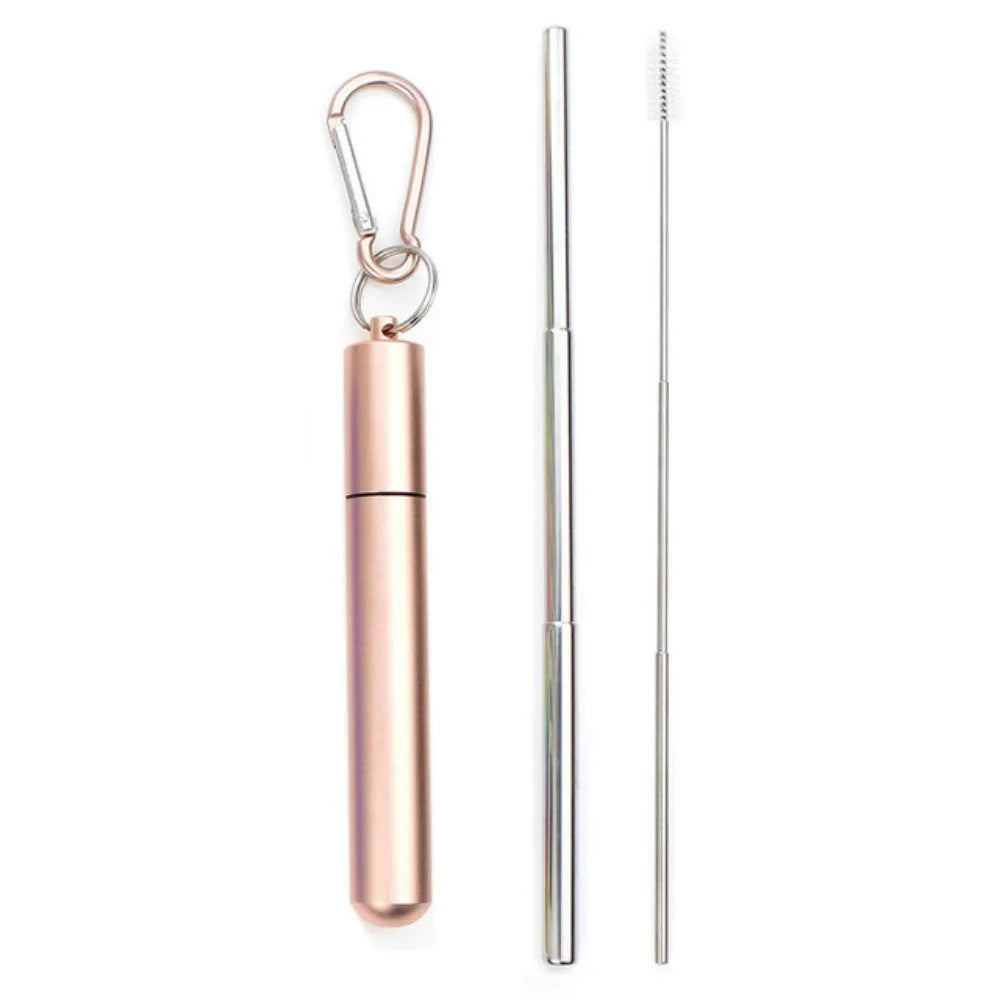 Reusable Telescopic Stainless Steel Straw Set – Portable with Cleaning Brush & Case