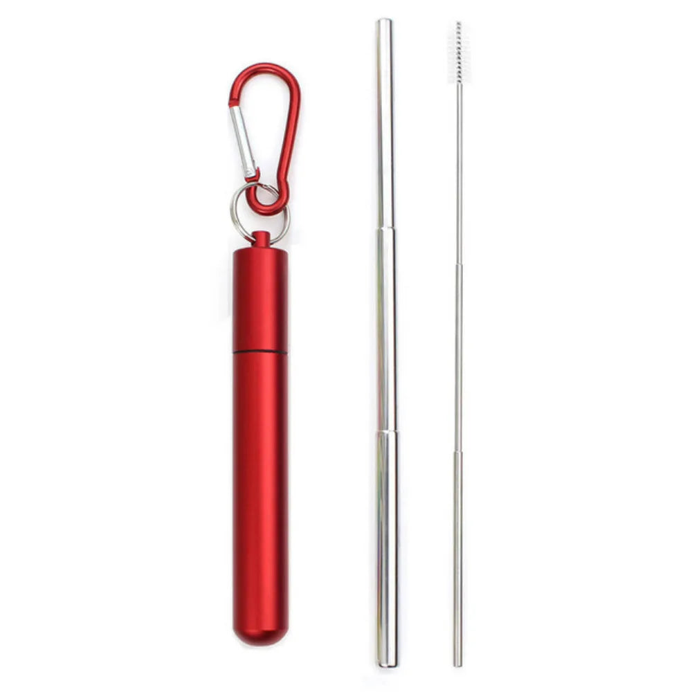 Reusable Telescopic Stainless Steel Straw Set – Portable with Cleaning Brush & Case
